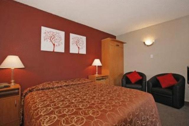 Kiwi Studios Motel Palmerston North Room photo